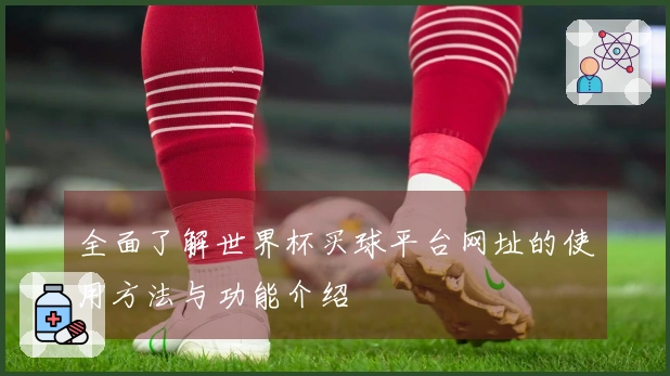全面了解世界杯买球平台网址的使用方法与功能介绍