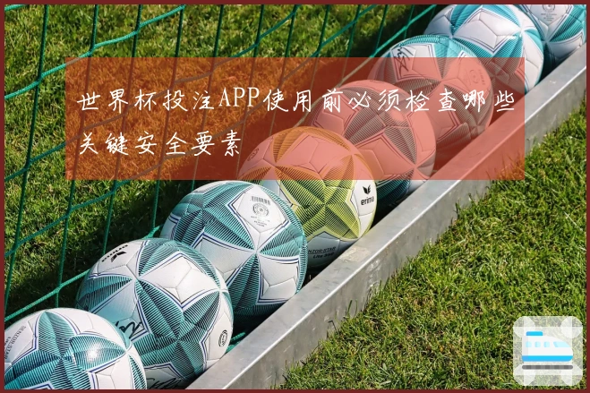 世界杯投注APP使用前必须检查哪些关键安全要素
