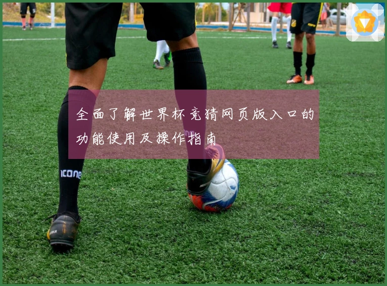 全面了解世界杯竞猜网页版入口的功能使用及操作指南