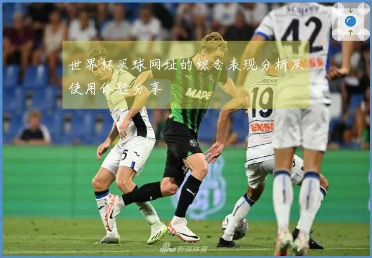 世界杯买球网址的综合表现分析及使用体验分享