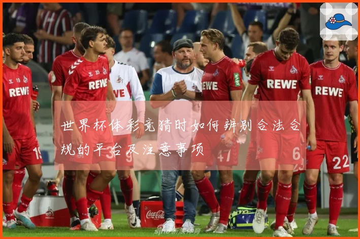 世界杯体彩竞猜时如何辨别合法合规的平台及注意事项