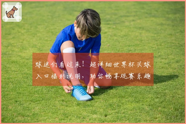 球迷们看过来！超详细世界杯买球入口福利说明，助你畅享观赛乐趣