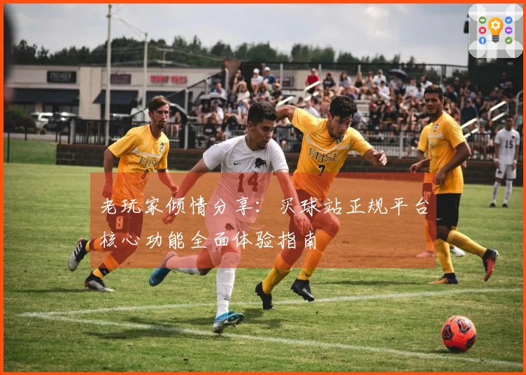 老玩家倾情分享：买球站正规平台核心功能全面体验指南