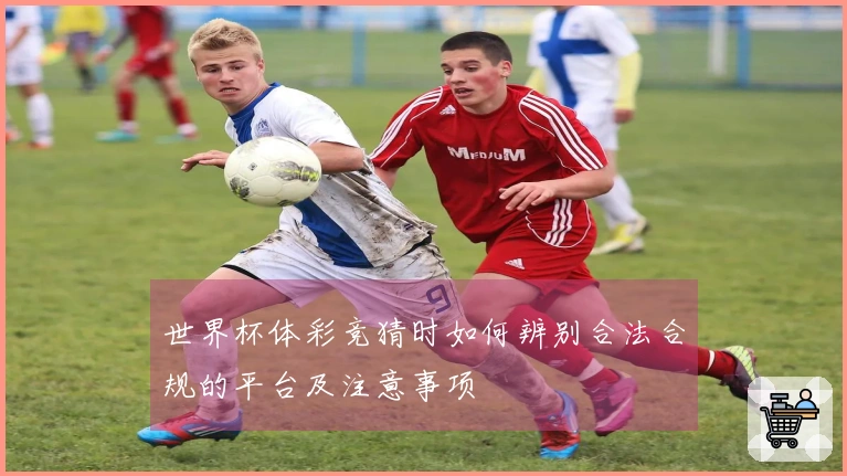 世界杯体彩竞猜时如何辨别合法合规的平台及注意事项