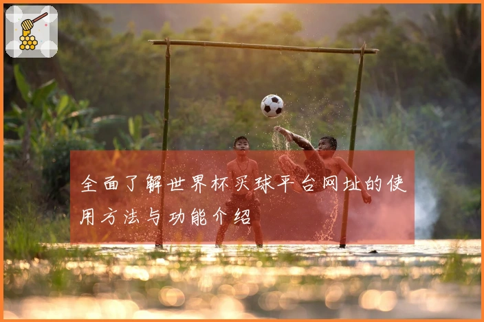 全面了解世界杯买球平台网址的使用方法与功能介绍