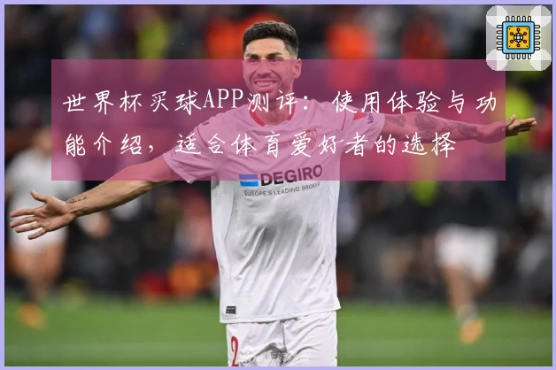 世界杯买球APP测评：使用体验与功能介绍，适合体育爱好者的选择