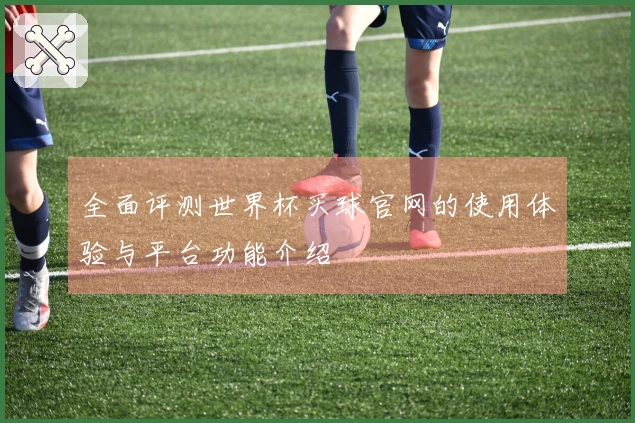 全面评测世界杯买球官网的使用体验与平台功能介绍