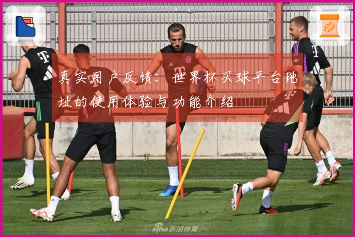 真实用户反馈：世界杯买球平台地址的使用体验与功能介绍