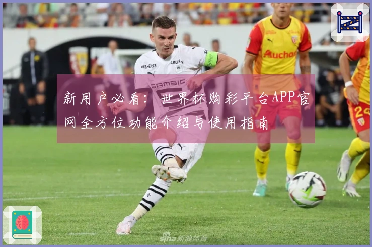 新用户必看：世界杯购彩平台APP官网全方位功能介绍与使用指南